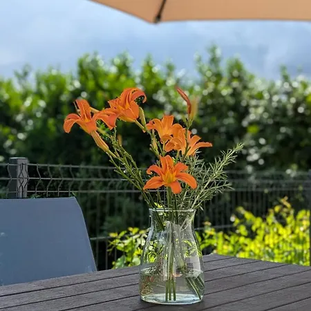 Charming In Apartment *